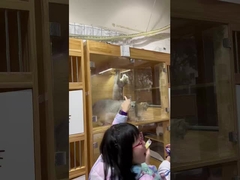 より クリーン な 空気,より 幸福 な ペット:ベルク の 浄化器 が 提供 さ れ て い ます